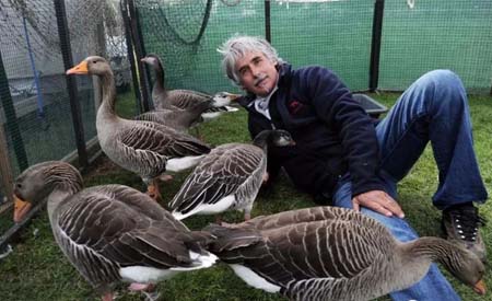 气象学家和他的雁群