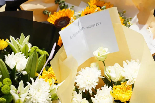 一路的颠沛流离，就是为了能够回家