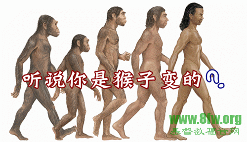 猿猴有必要进化成人吗?