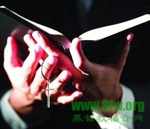 每天如何读圣经?