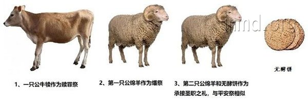 祭祀用的牛羊