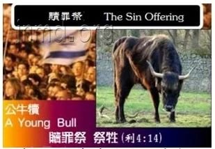 赎罪祭